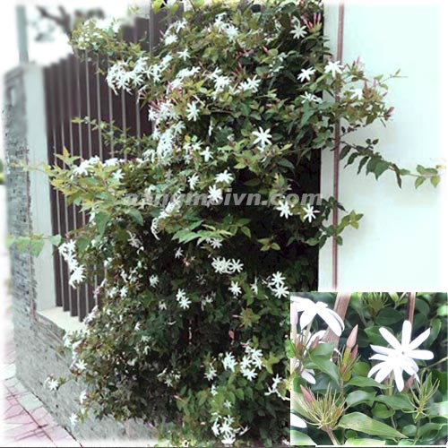 sample photo