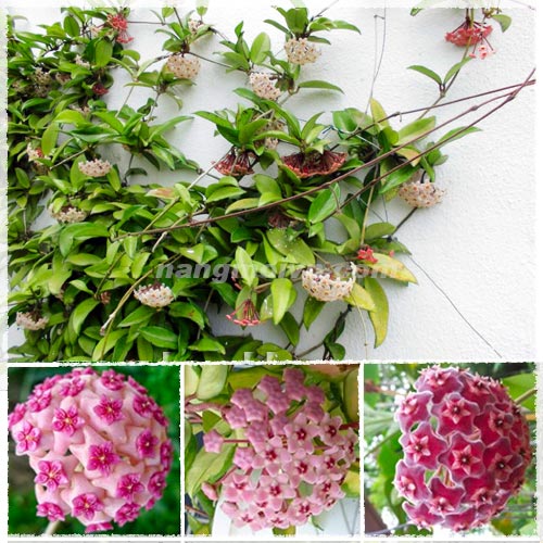 sample photo