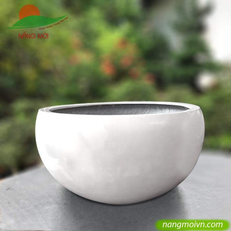 Chậu Kiểu Ang