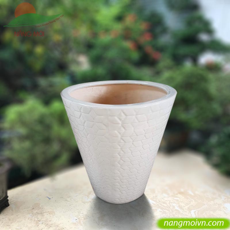 Kiểu Đồng Tiền