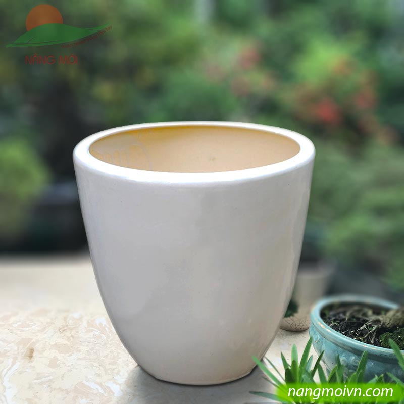 sample photo