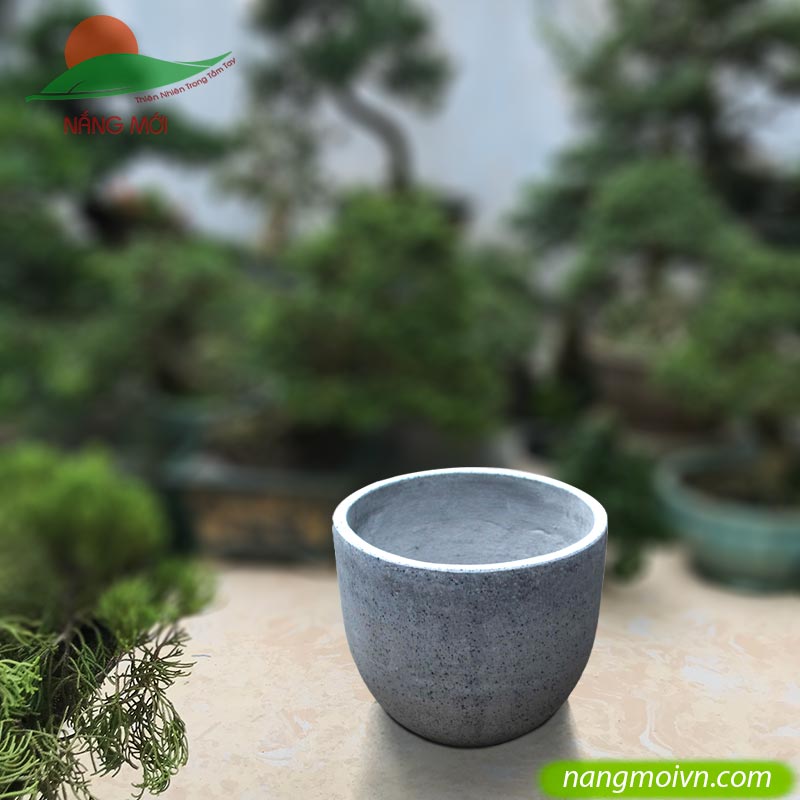 sample photo