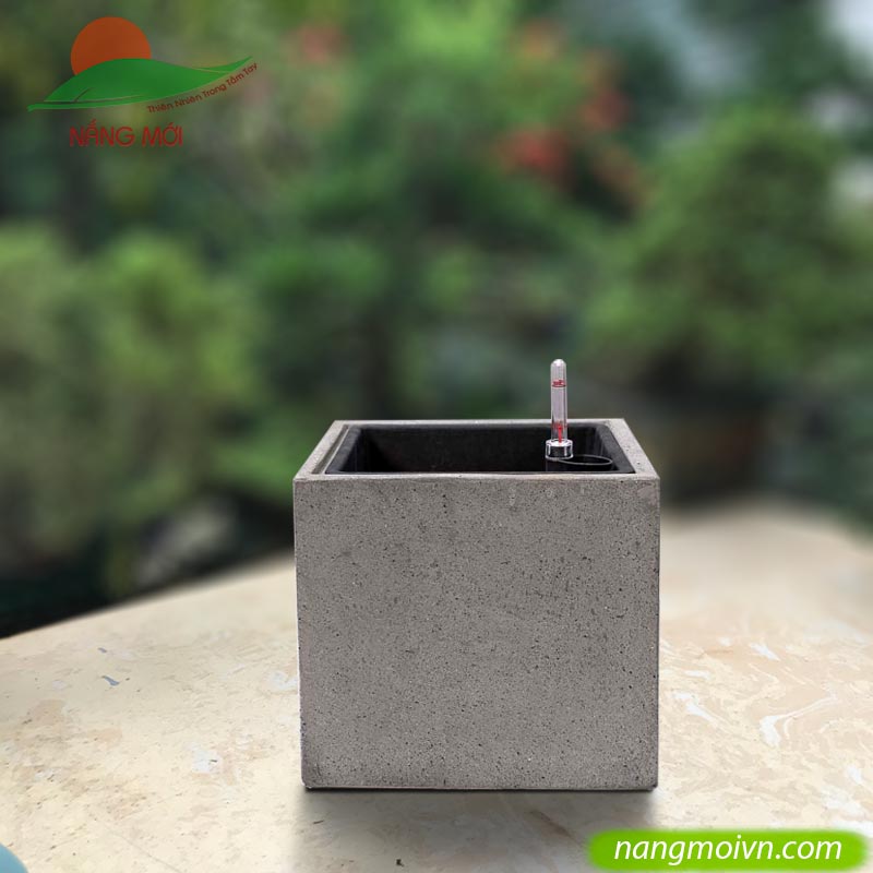 Vuông tự dưỡng