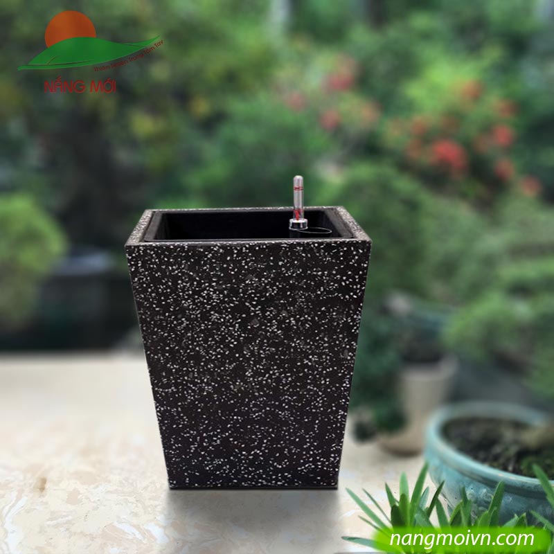 Vuông Vát tự dưỡng